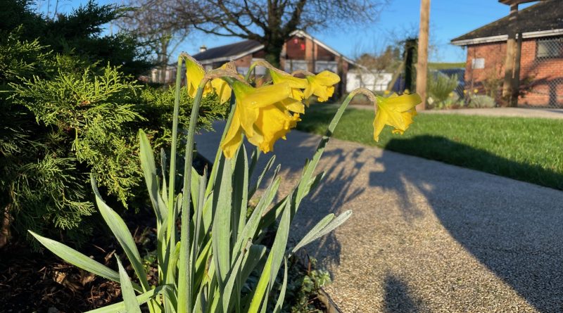 Garden Party During Dementia Action Week - Thatcham Town Council