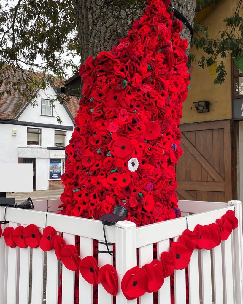 Creative Poppy Tribute to Honour Those Who Served - Thatcham Town Council