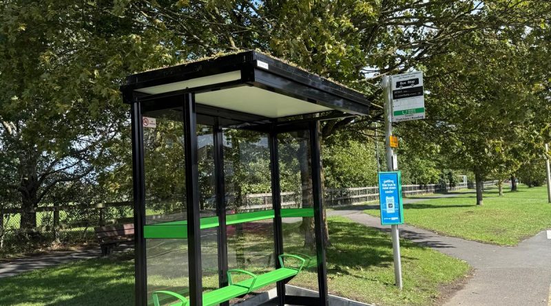 Green Roof Bus Shelters Bring Wildlife and Fresh Air to Thatcham