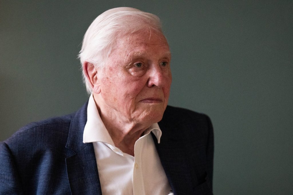 David Attenborough Backs Bid To Save Vast Upland Estate For Nature And Nation