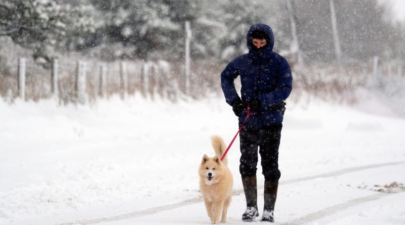 Coldest Night Of Season Recorded In Most Of UK As Snow Forces School Closures