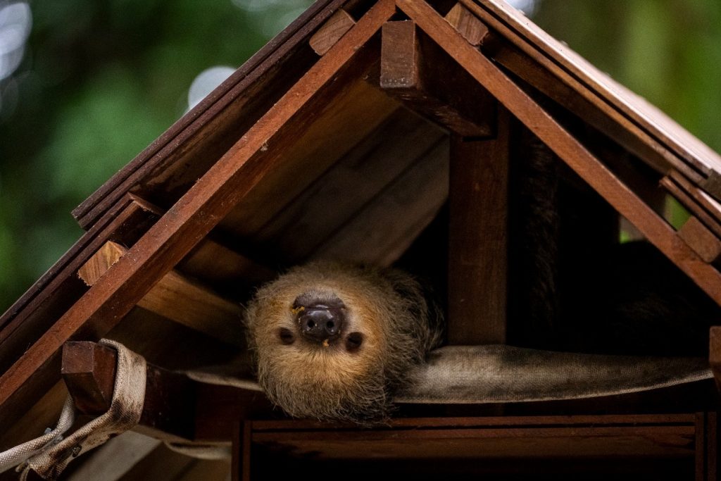 Ed Miliband Urges Unity Around Green Policies