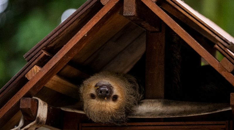 Ed Miliband Urges Unity Around Green Policies
