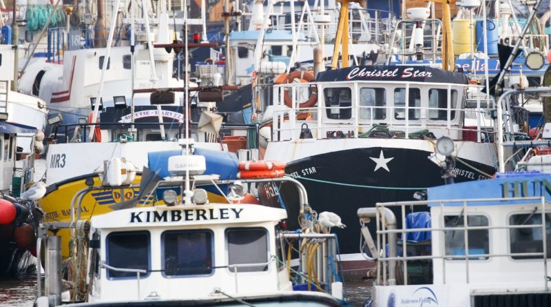 Post Brexit Law Failing To Help Fish Stocks And Communities Government Warned