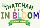 Thatcham in Bloom Competition Announced
