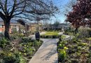 Free Family Activities in Jubilee Sensory Garden